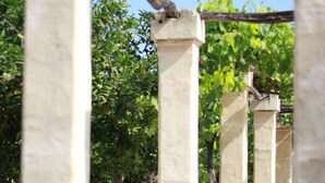 A stone pergola structure with a vine climbing over it, surrounded by greenery and a clear sky. - Petit Hotel Algaida  (Algaida)