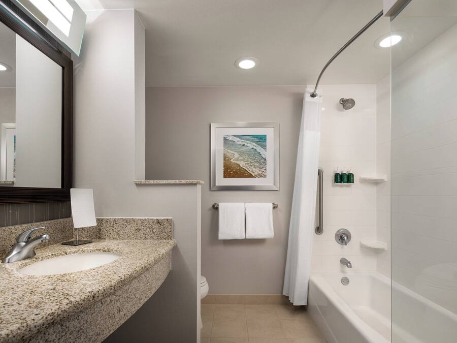 Un baño moderno con un lavabo de granito, un espejo grande, un cuadro enmarcado de una playa, un inodoro, una ducha y una bañera.