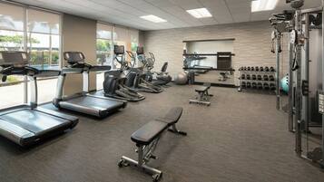 A gym with treadmills, elliptical machines, a bench, weight machines, and dumbbells.