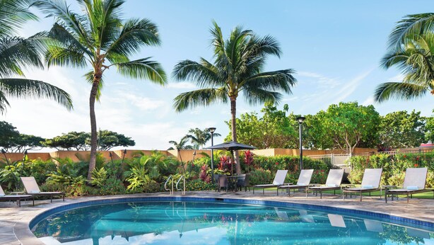 Una piscina con sillas de descanso y palmeras.