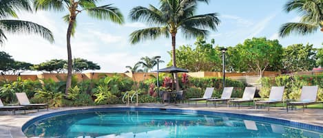 Outdoor pool, pool umbrellas, pool loungers