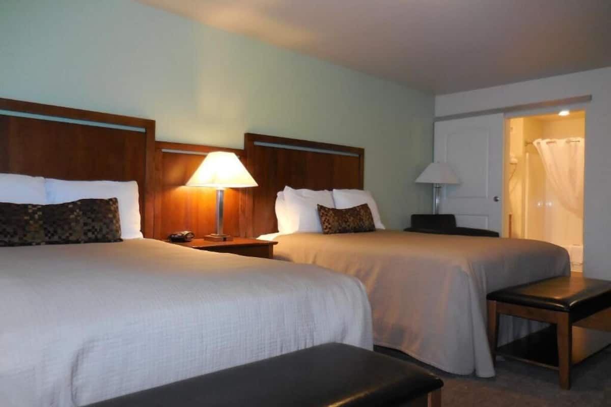 premium bedding, desk, laptop workspace, blackout curtains