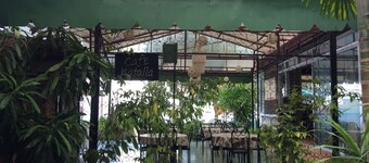 Olman's View Resort