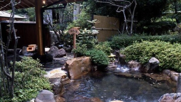 Un jardin japonais traditionnel avec un petit étang, des rochers et une structure en bois.