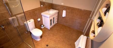 A modern bathroom with a glass shower enclosure, a white sink, and a toilet.