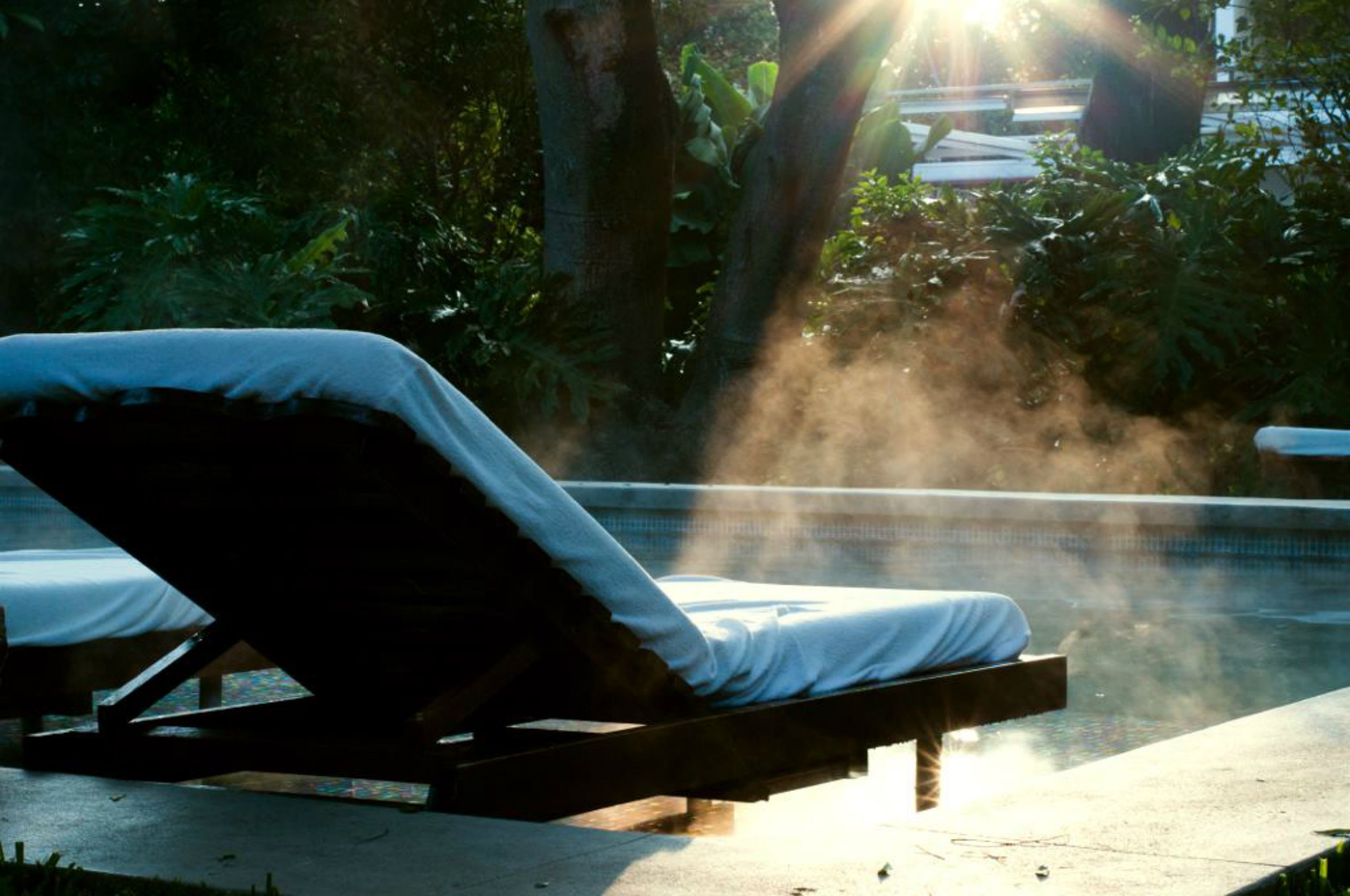 A sunlit outdoor lounge area with a pool, surrounded by lush greenery.
