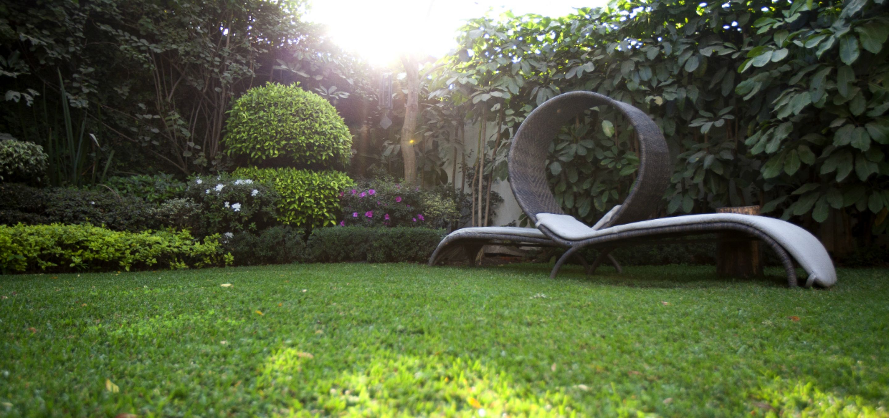 A garden with a lounge chair, well-maintained grass, and various plants.