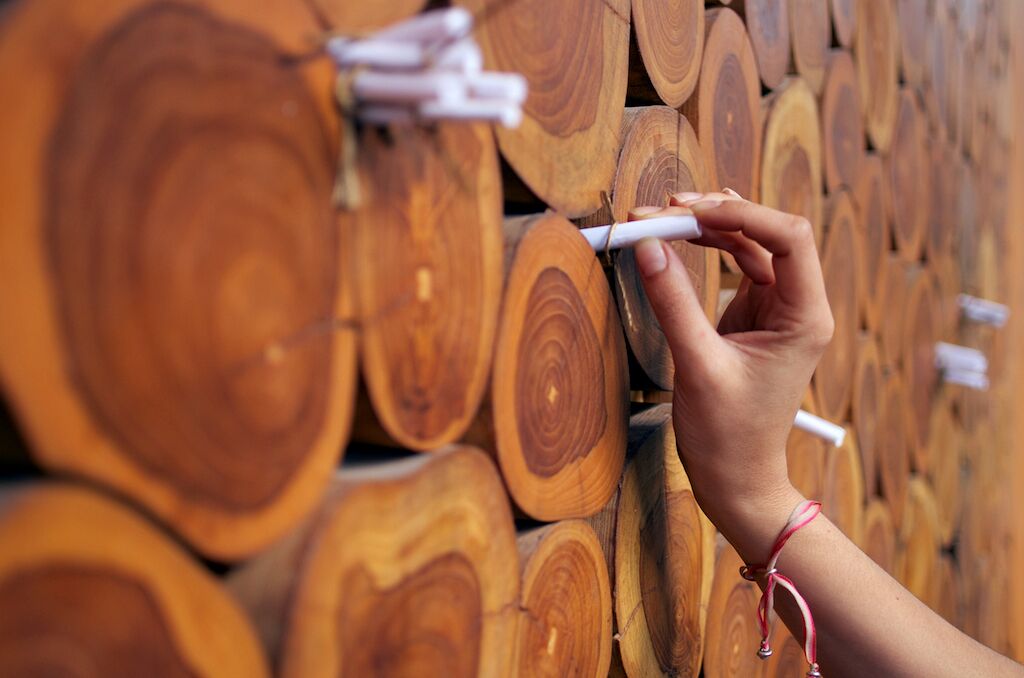 A hand pointing at a wall of wooden logs.