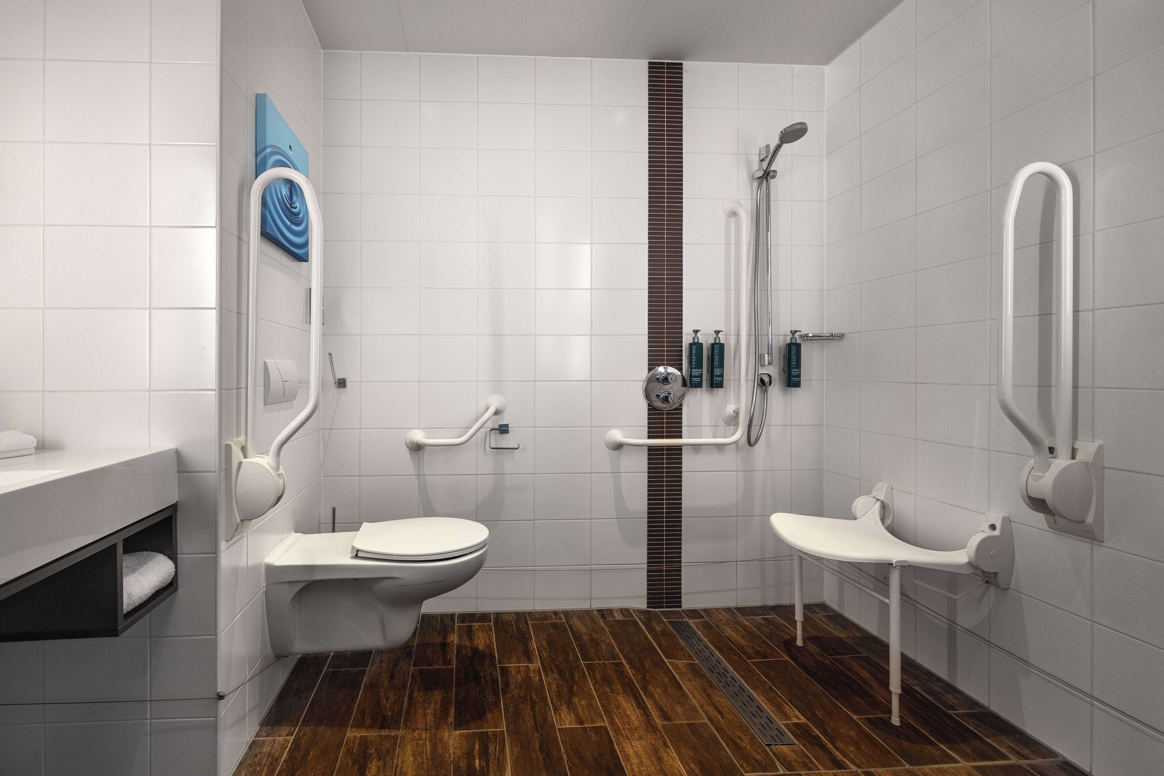 room, 1 queen bed, accessible | bathroom shower