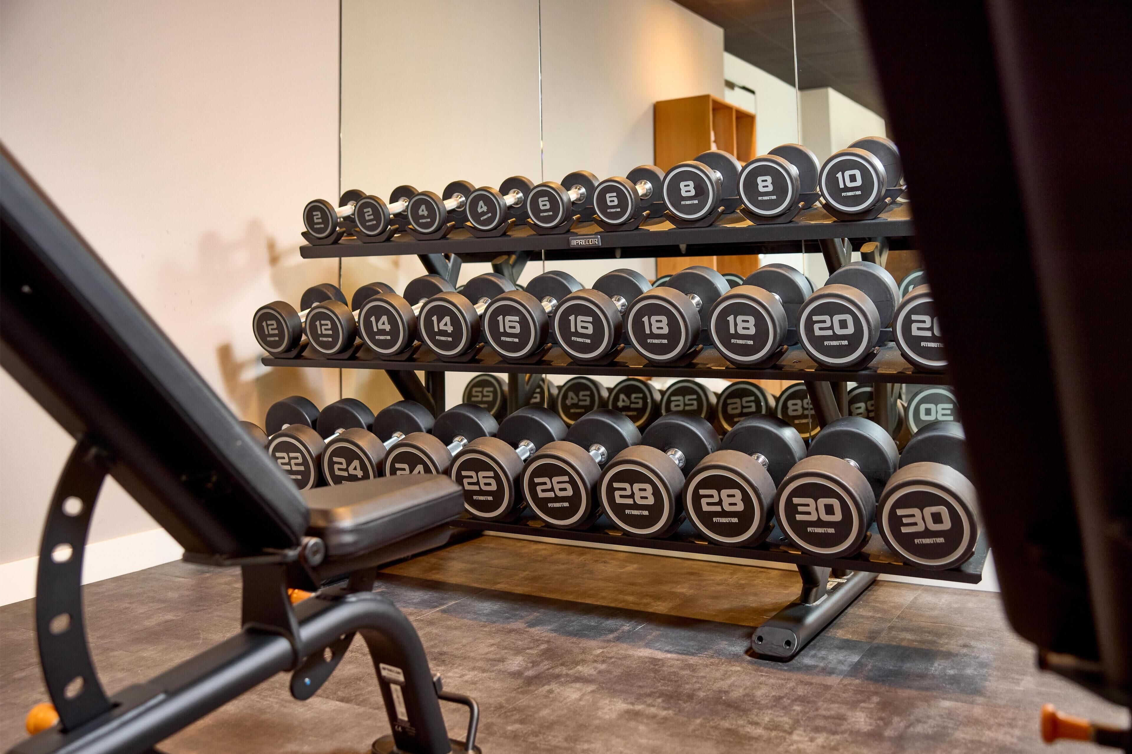 A gym with a rack of dumbbells arranged by weight.