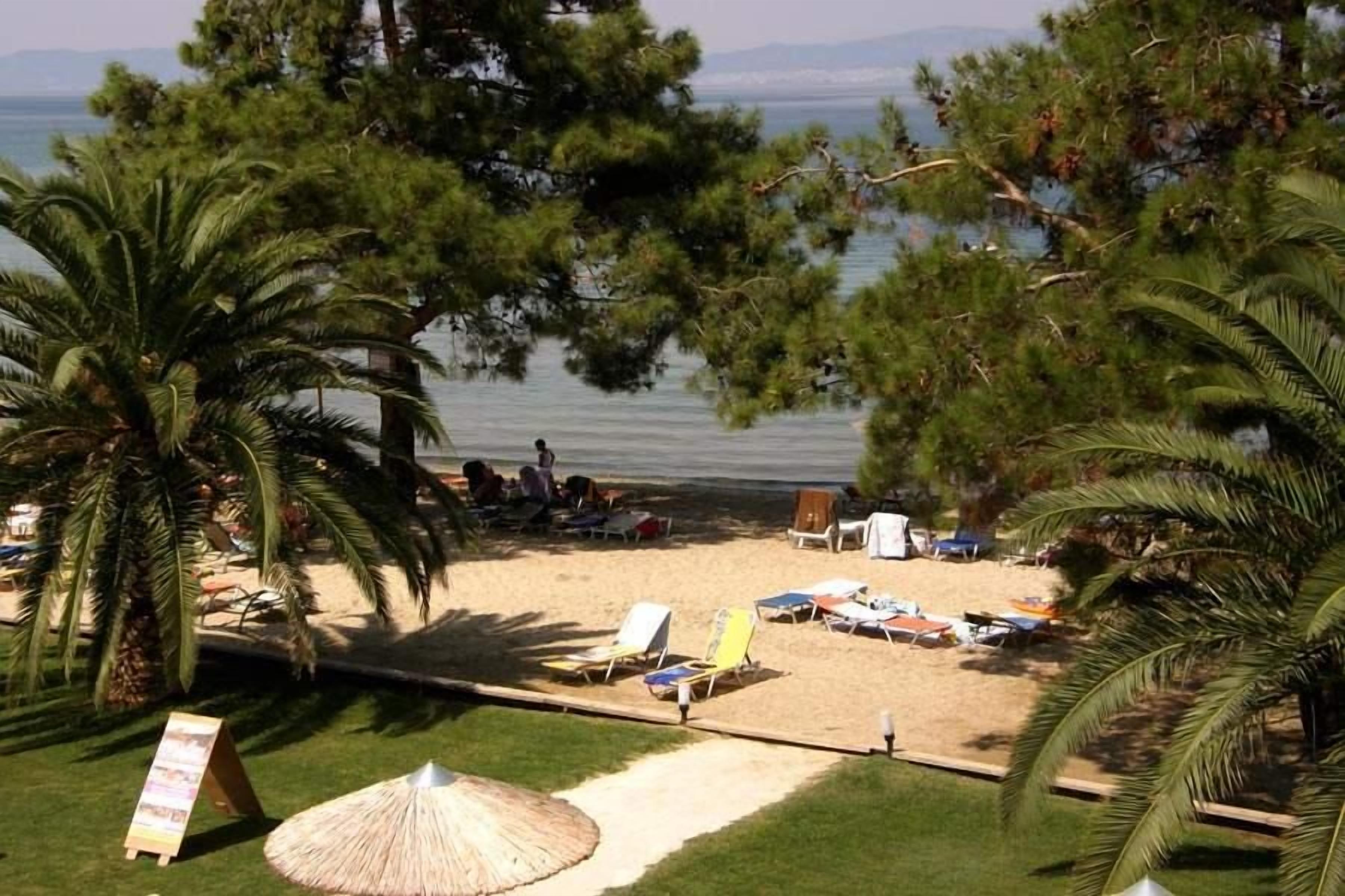A beach with lounge chairs and umbrellas, a grassy area with a sign, and a view of the sea.