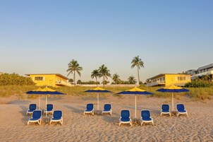 Una playa con filas de sillas azules y sombrillas amarillas, palmeras y edificios amarillos al fondo.