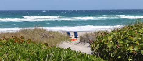Suite, 2 chambres, vue océan | Plage | Plage privée, cabines gratuites, chaises longues, serviettes de plage