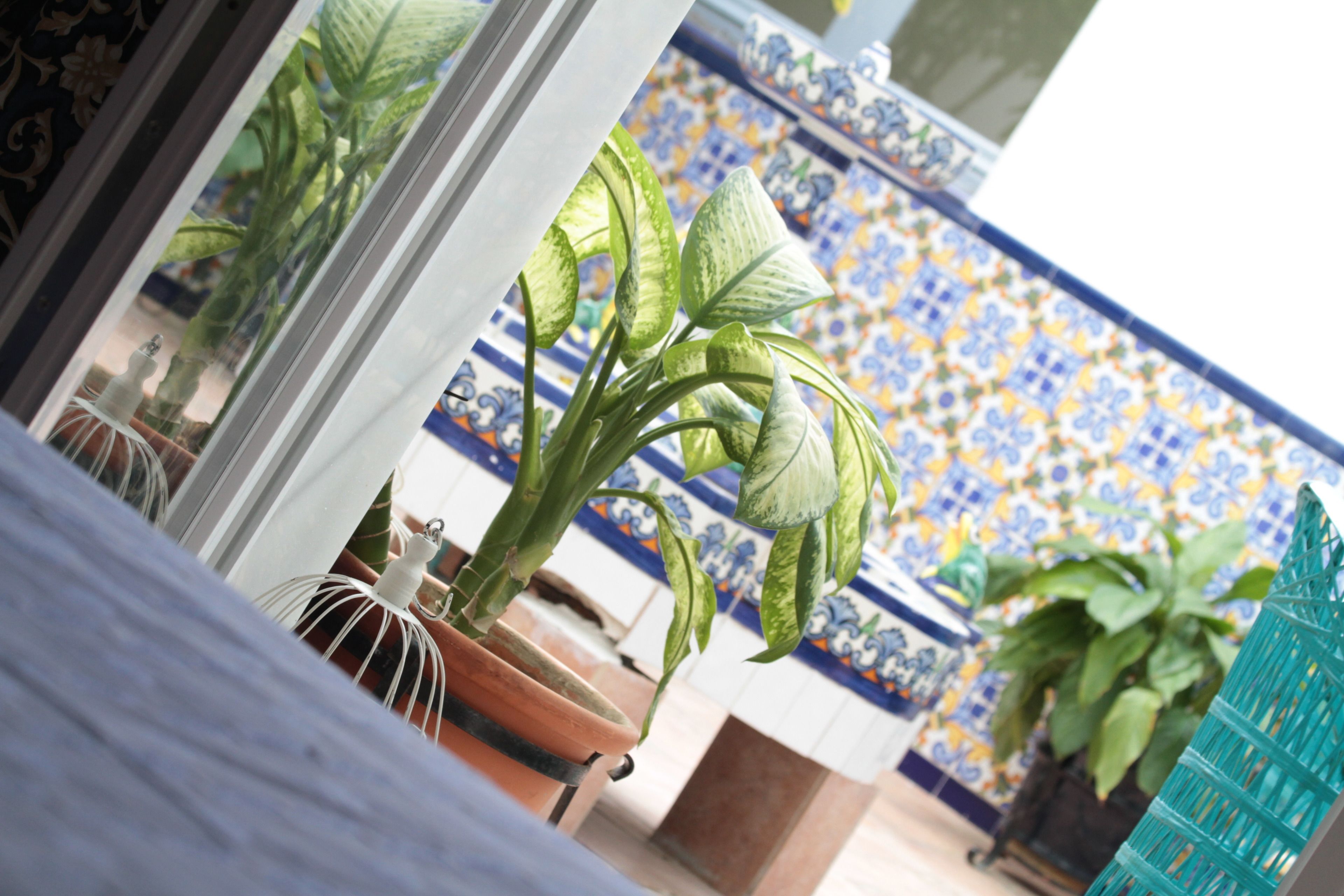 double room (window) | view from room