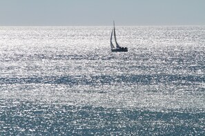 Vistas desde el alojamiento