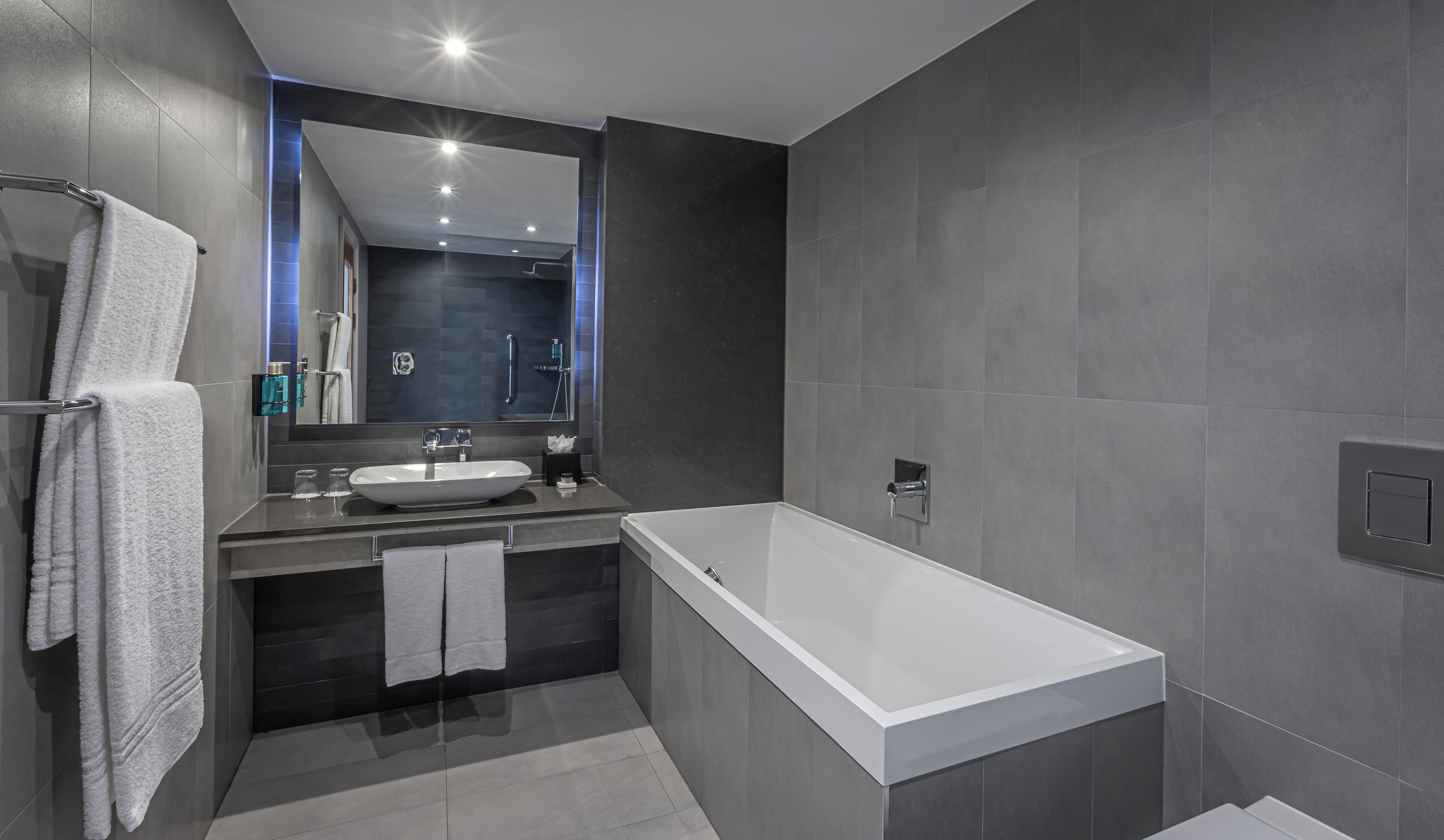 suite | bathroom | shower, rainfall showerhead, free toiletries, hair dryer