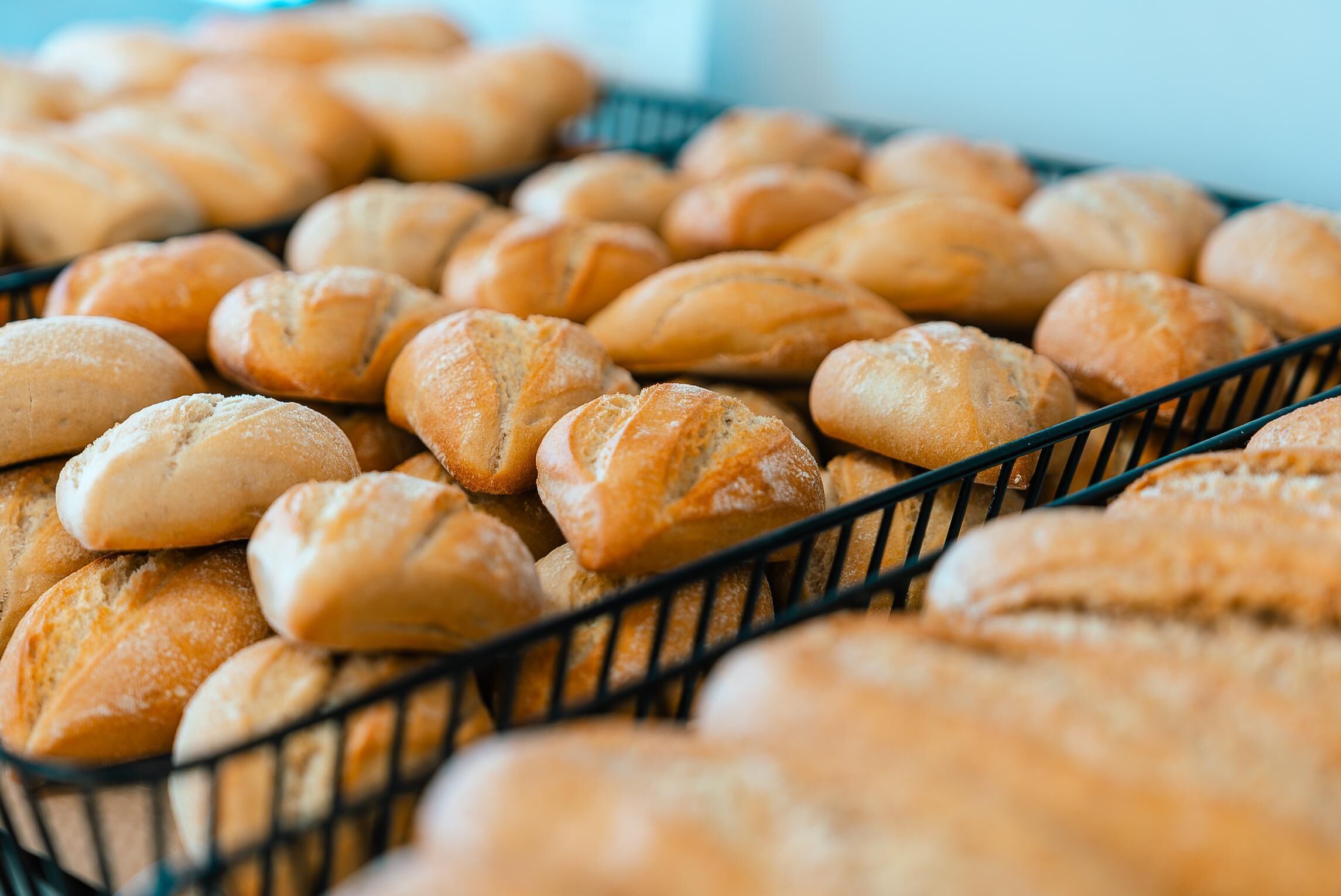 Ein Korb voller frisch gebackener Brötchen.