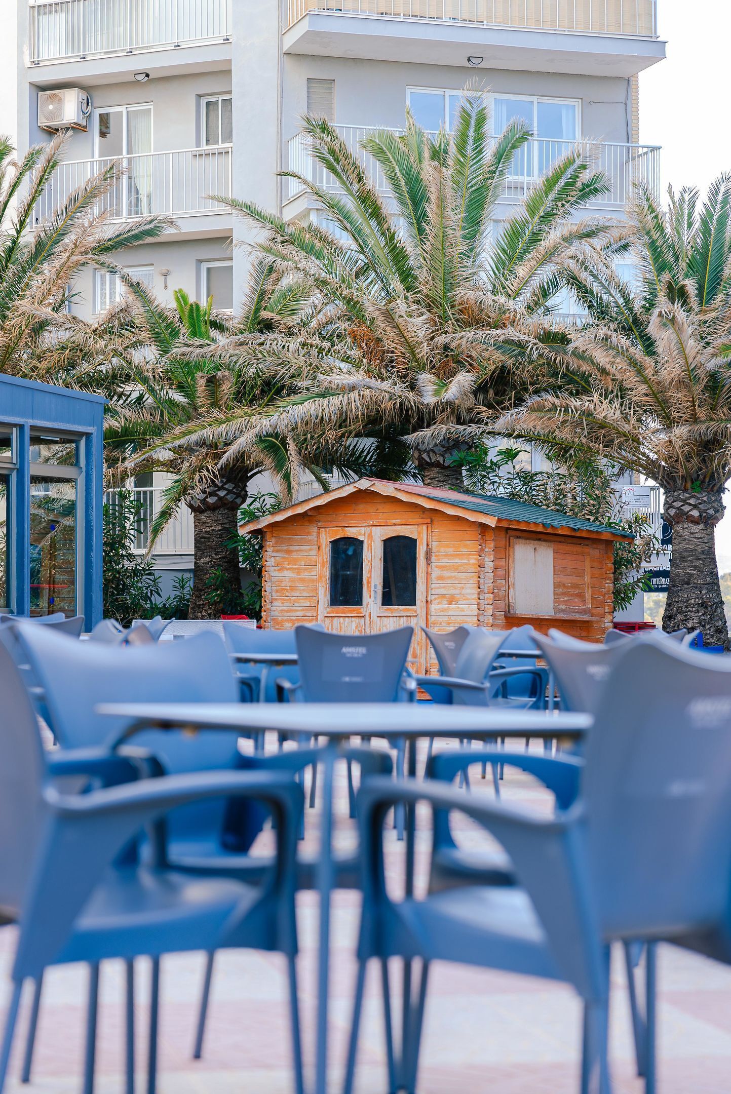 A beachfront setting with a small wooden structure, possibly a cabana, surrounded by palm trees.
