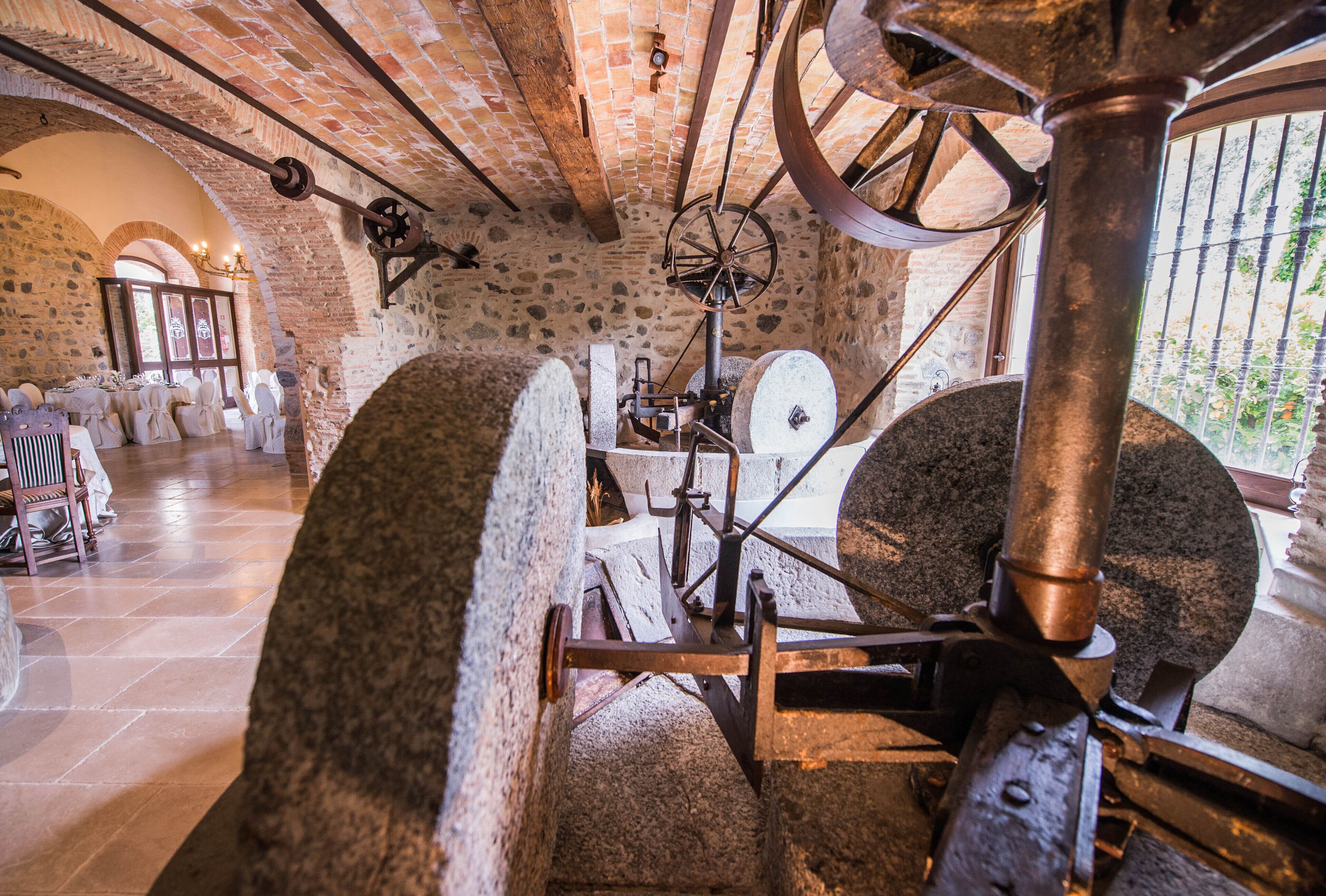 Foto - Tenuta Ciminata Greco