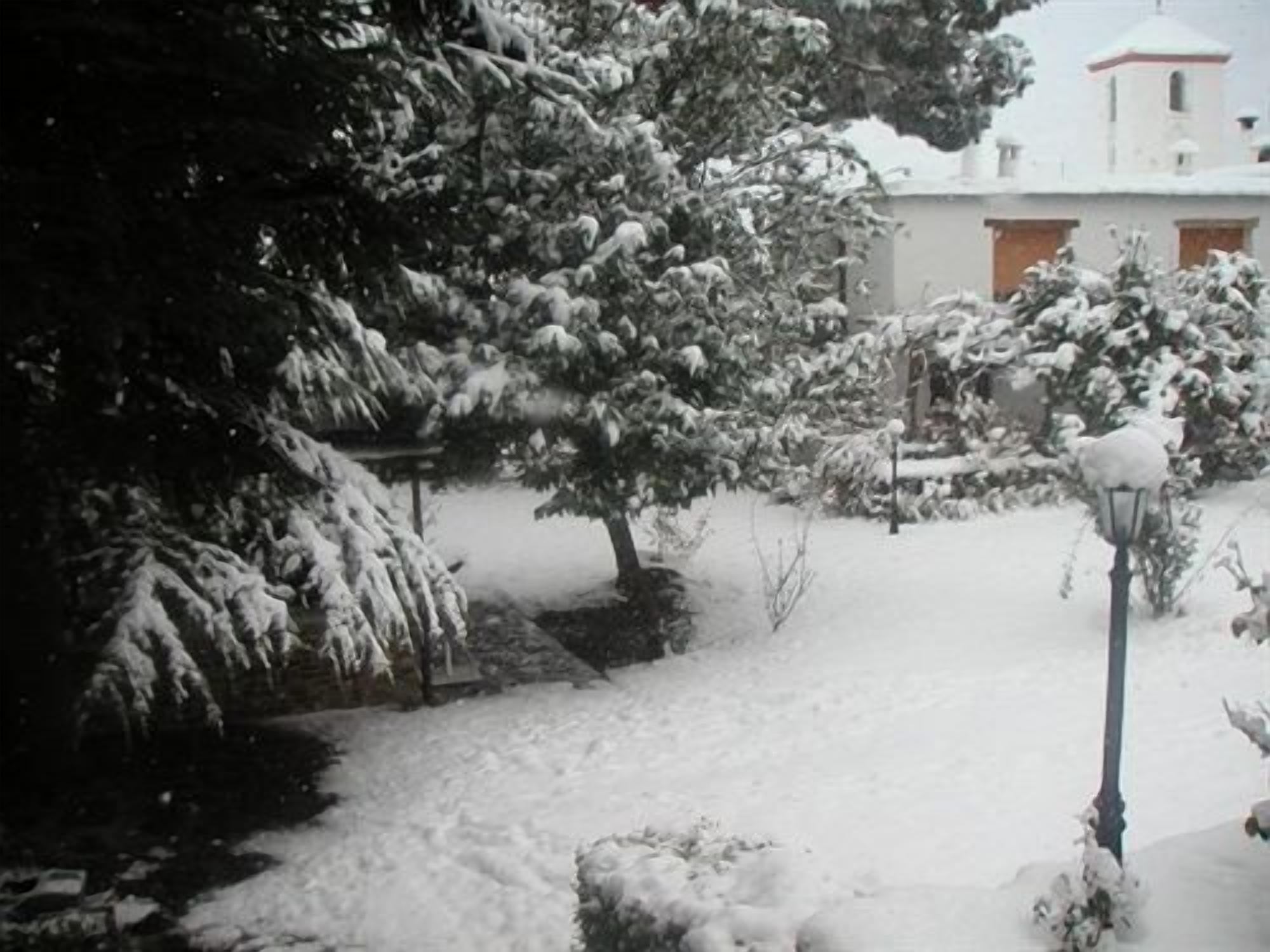 En snötäckt trädgård med träd och en byggnad i bakgrunden.