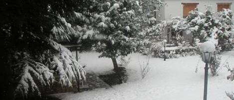 En snötäckt trädgård med träd och en byggnad i bakgrunden.