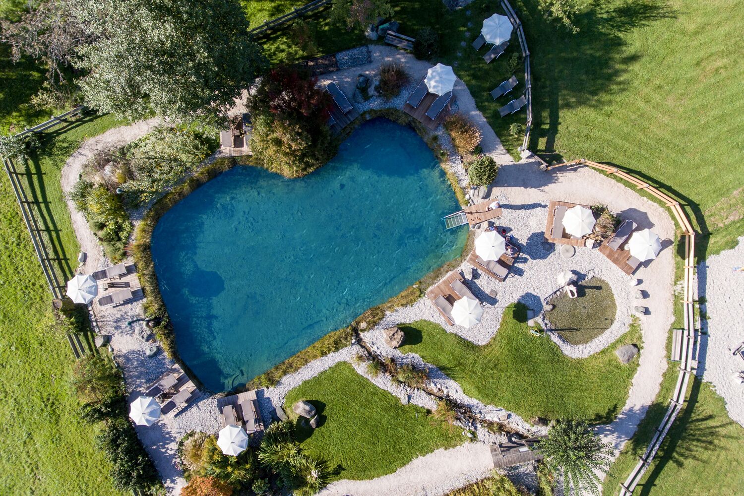 outdoor pool, pool umbrellas, pool loungers