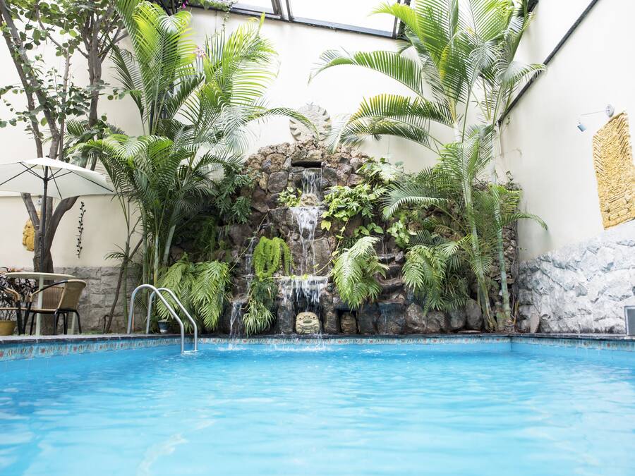 Outdoor pool, open 10:00 AM to 10:00 PM, sun loungers