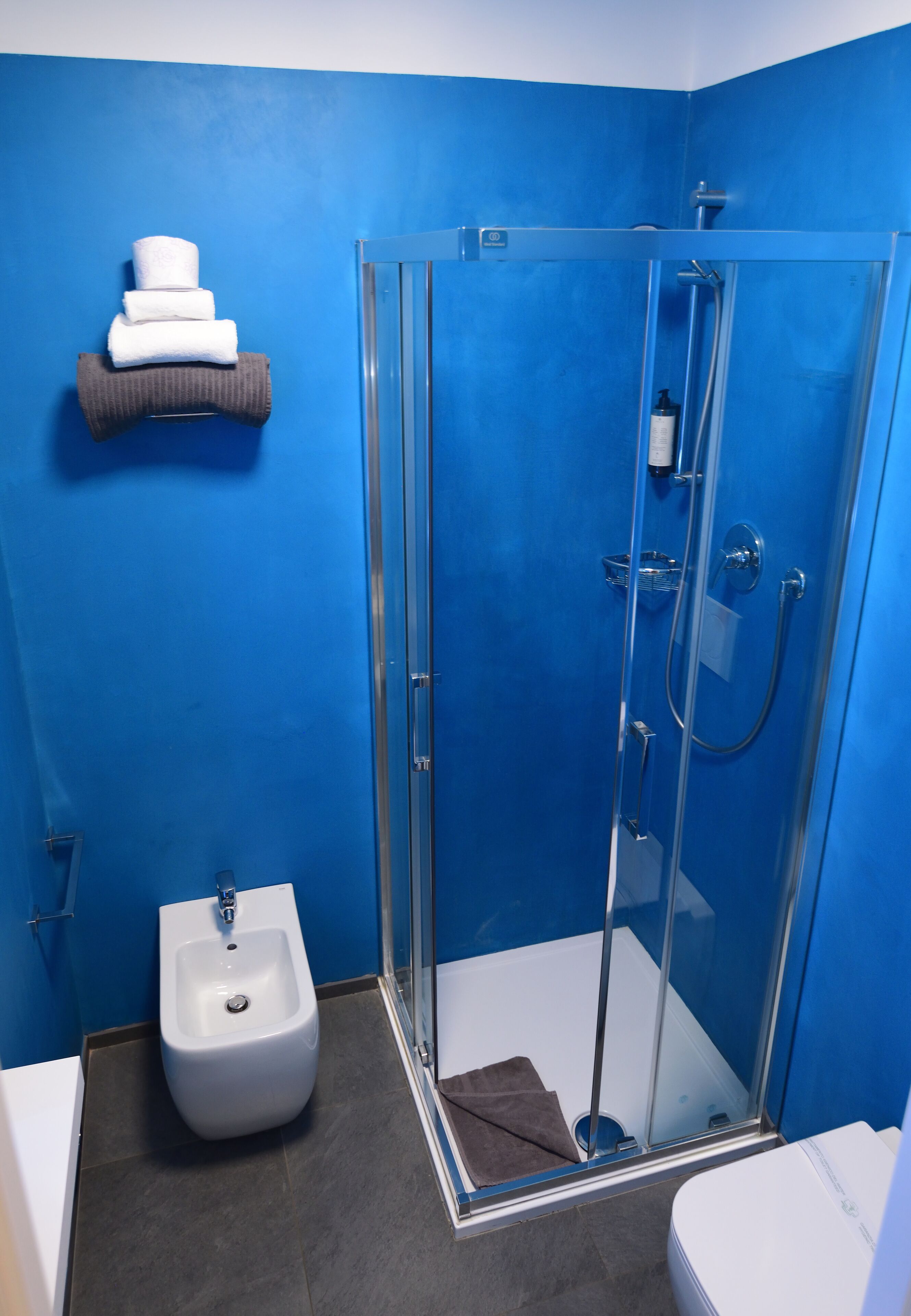basic single room | bathroom | shower, free toiletries, hair dryer, bidet