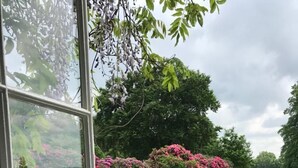 Un jardín con diversas plantas florecientes y un muro de piedra.