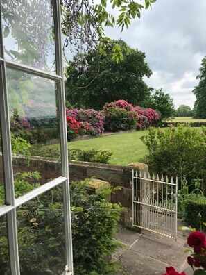 Suite | 客房景觀