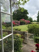 Suite | View from room