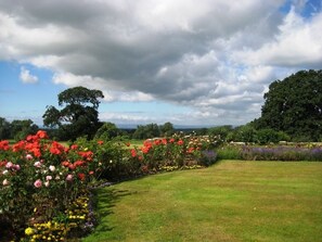 Garden - Willington Hall Hotel (Tarporley)