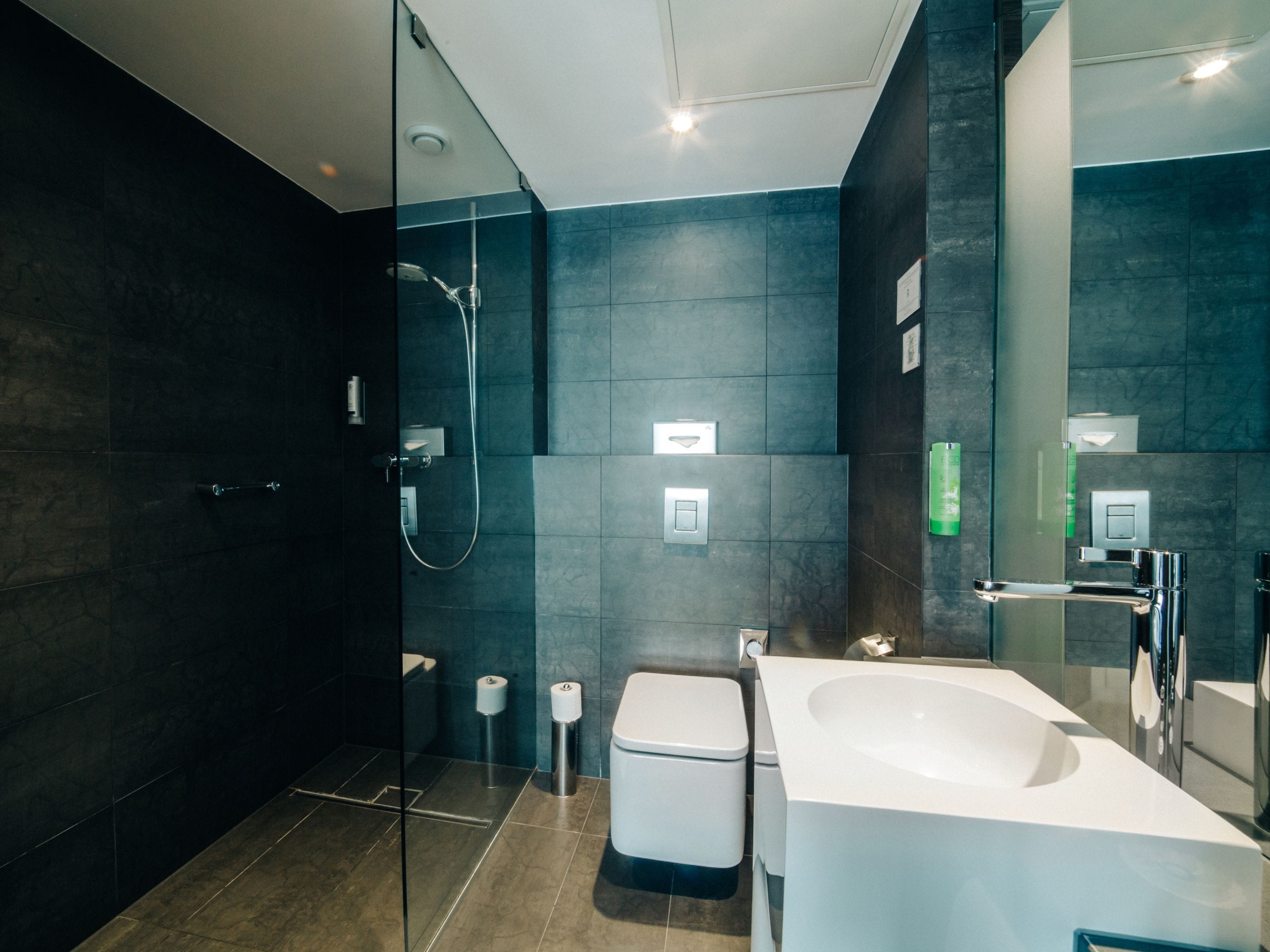 shower, rainfall showerhead, designer toiletries, hair dryer