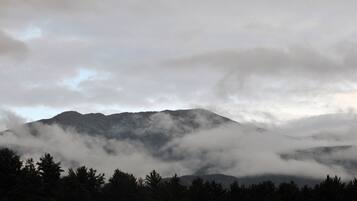 A mountain partially obscured by clouds, with a forested foreground.