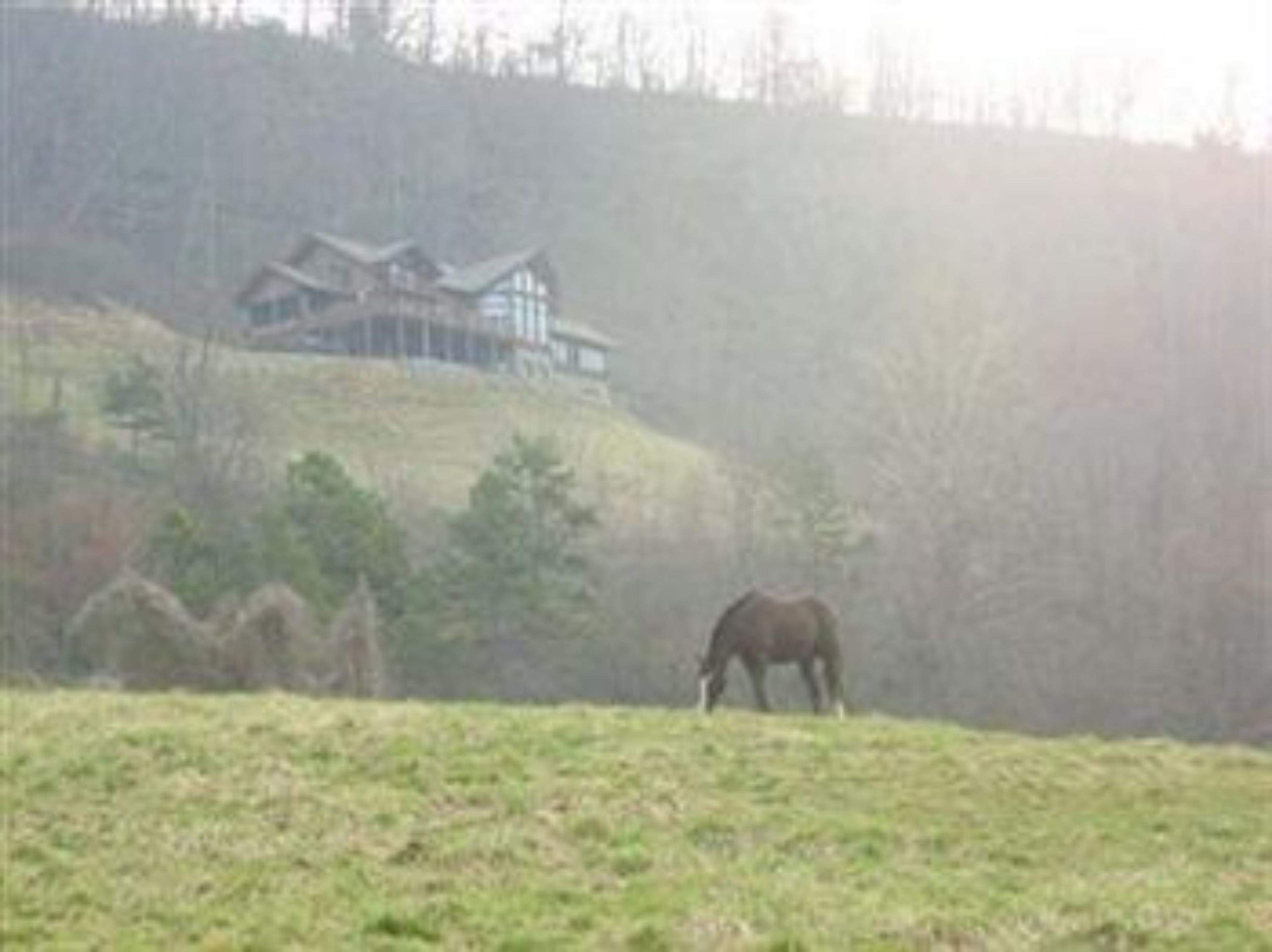 Un caballo pastando en un campo con una casa al fondo.