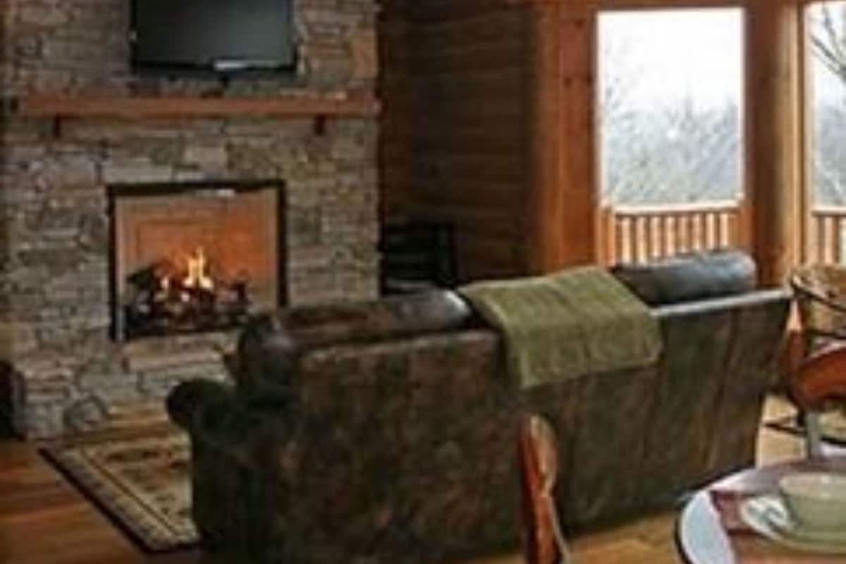 Honeymoon Cabin Suite, 1 King Bed, Full Kitchen & Fireplace | Living room | Books