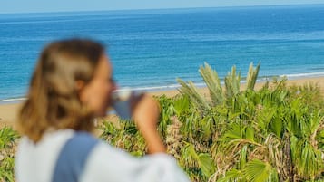 Une personne se tient sur un balcon donnant sur une plage bordée de palmiers et l’océan.