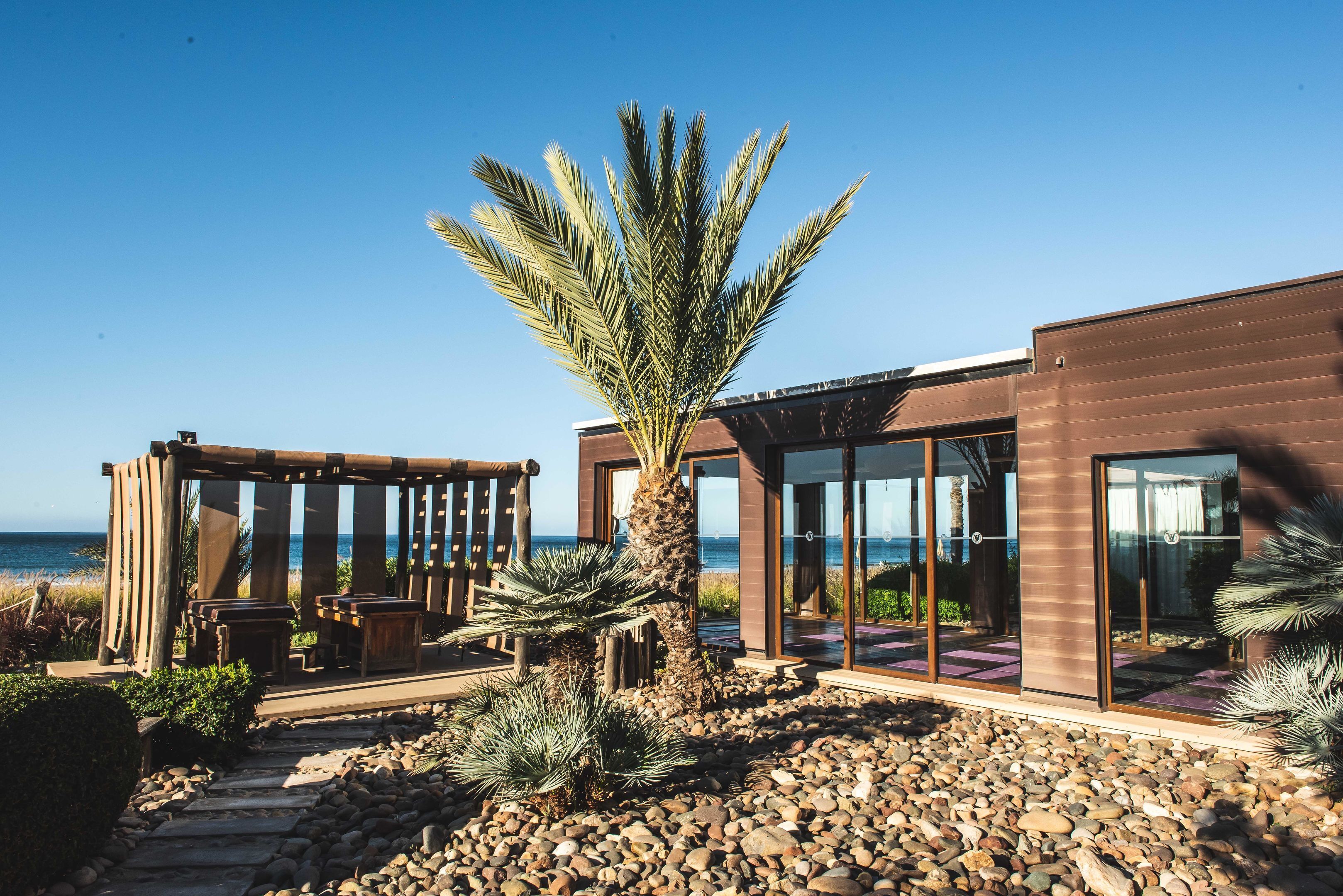 A modern outdoor area with a palm tree, wooden pergola, and a stone pathway leading to a glass-enclosed building with a view of the ocean.