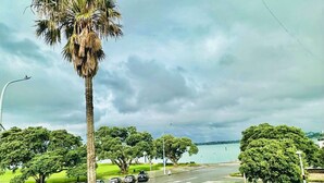A road intersection with palm trees, parked cars, and a view of the water. - The Esplanade Hotel (Auckland)