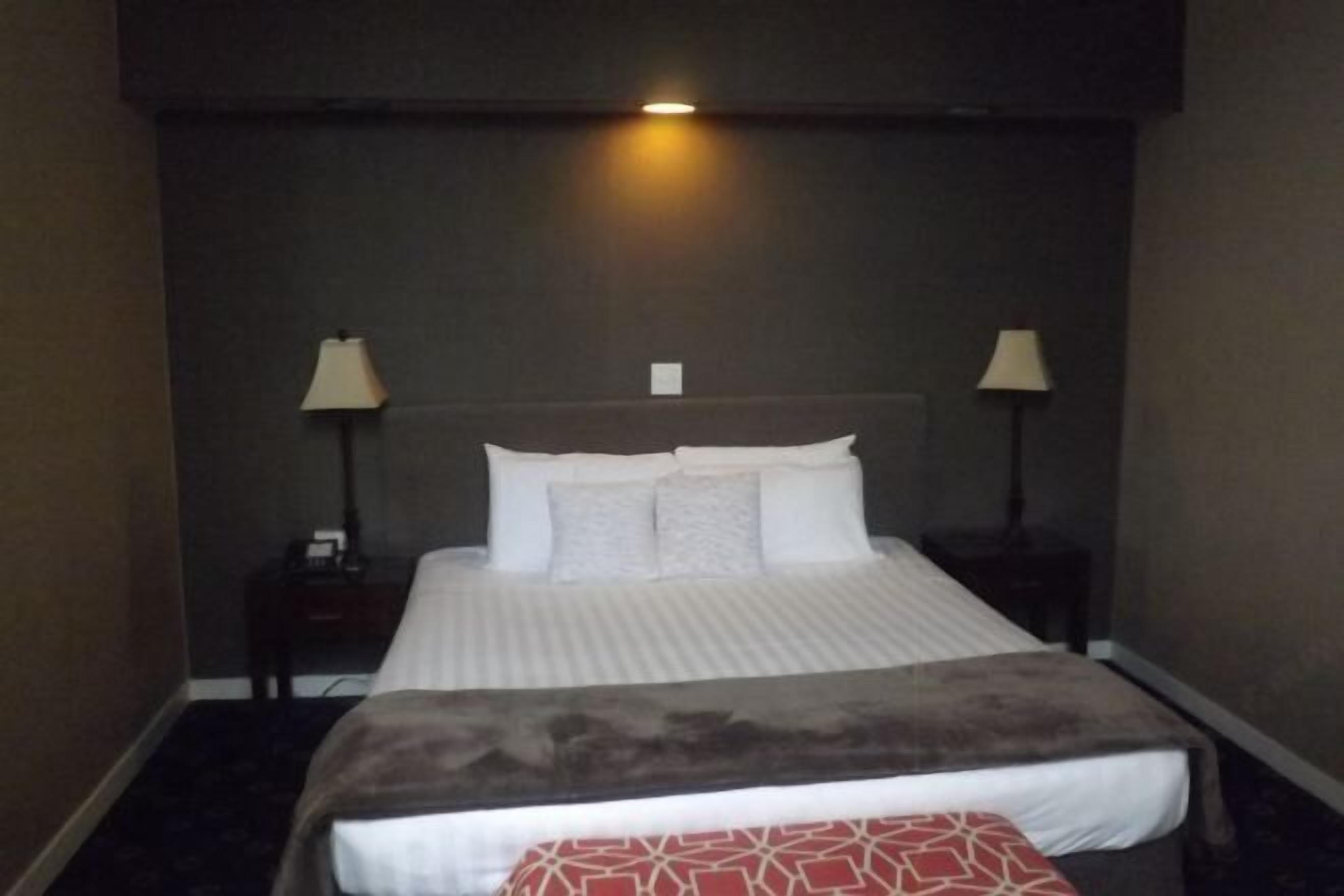 Premium bedding, individually decorated, individually furnished, desk