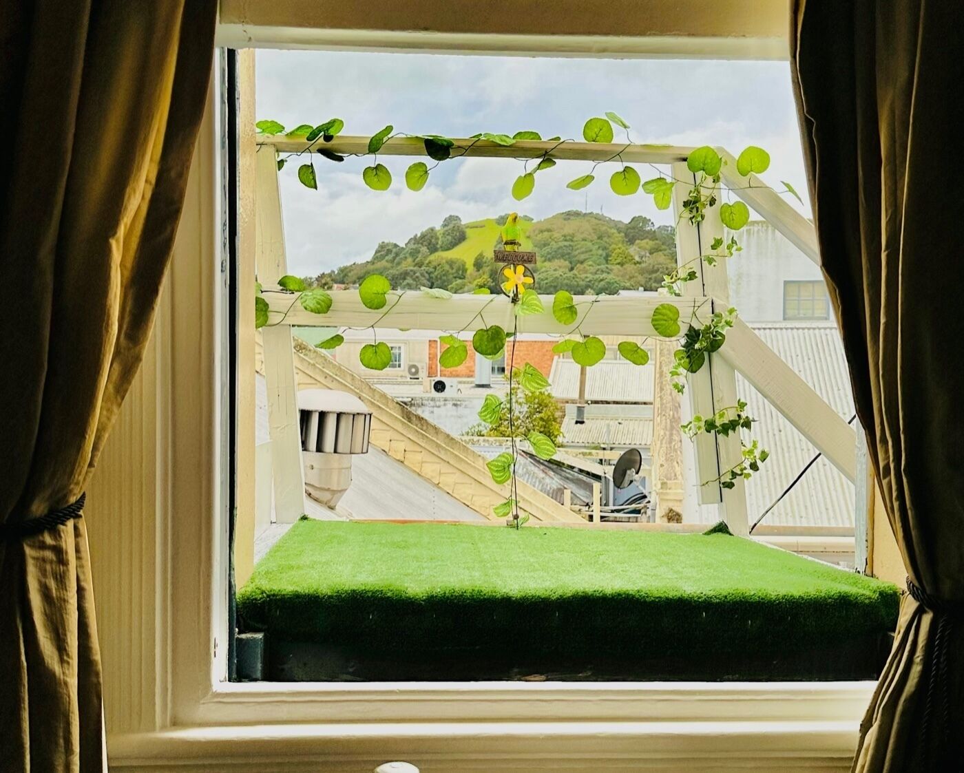 flagstaff room | view from room