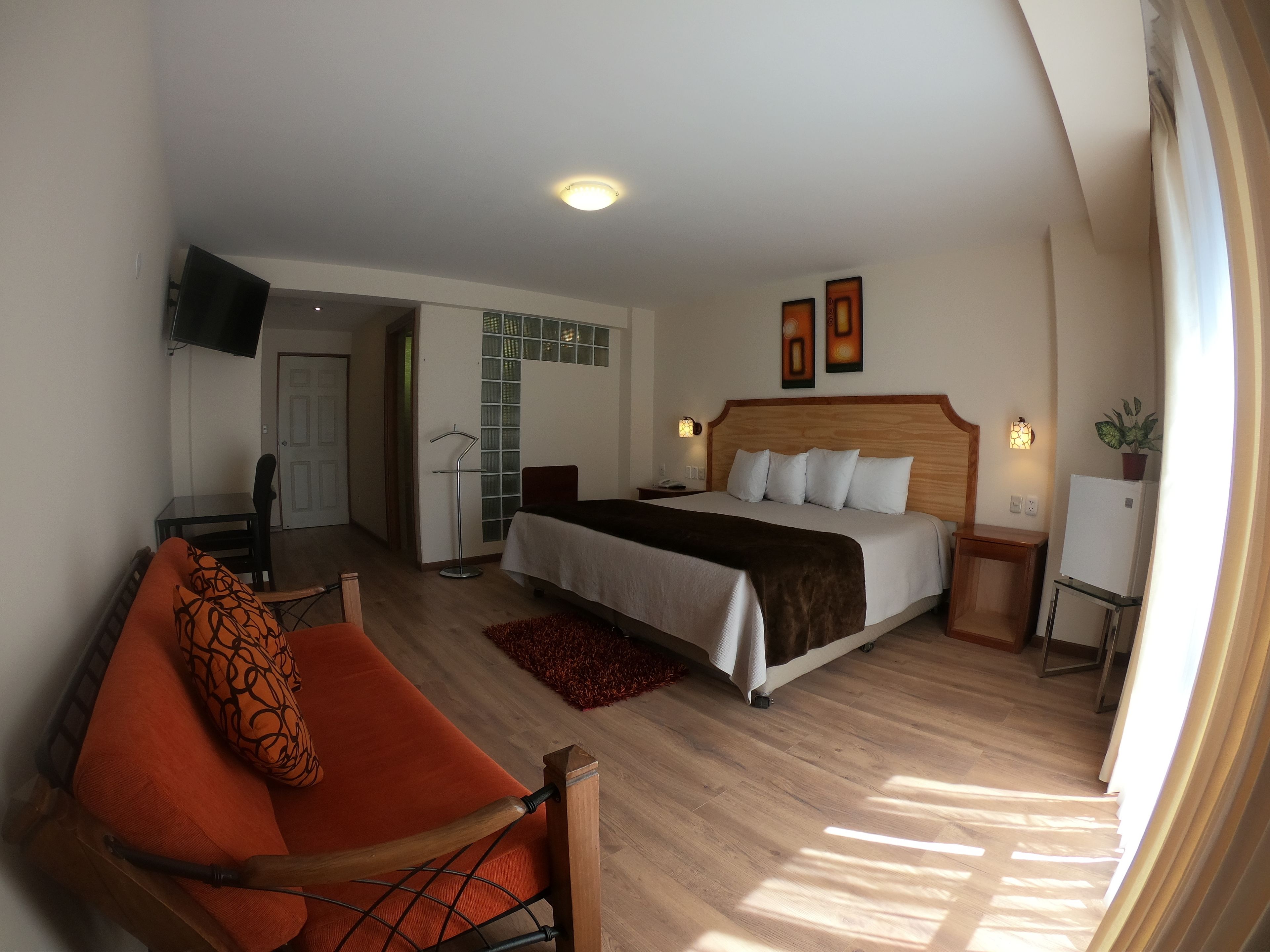 A hotel room with a bed, a sofa, a TV, a small table, and a plant.
