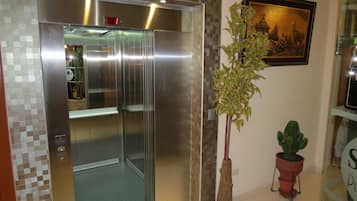 An elevator with a metallic finish, a potted plant beside it, and a framed picture on the wall.