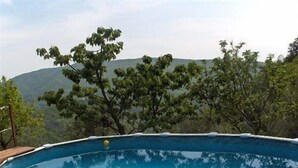 Outdoor pool, pool umbrellas, pool loungers - Farmhouse Castagnola 64 B&B (Ne)
