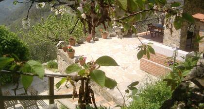 Farmhouse Castagnola 64 B&B