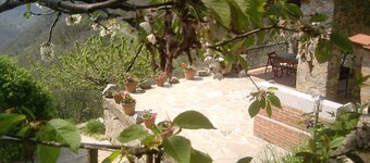 Farmhouse Castagnola 64 B&B