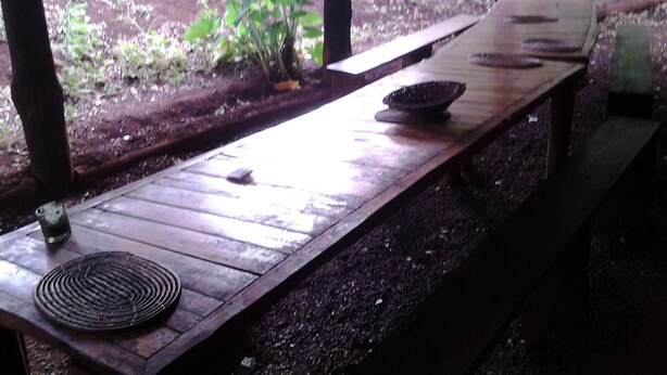 Property grounds - Hluhluwe Backpackers (Hluhluwe)
