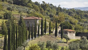 A stone building with a tiled roof, surrounded by olive trees and a stone wall, set in a hilly landscape. - Agriturismo Colognole (Pontassieve)