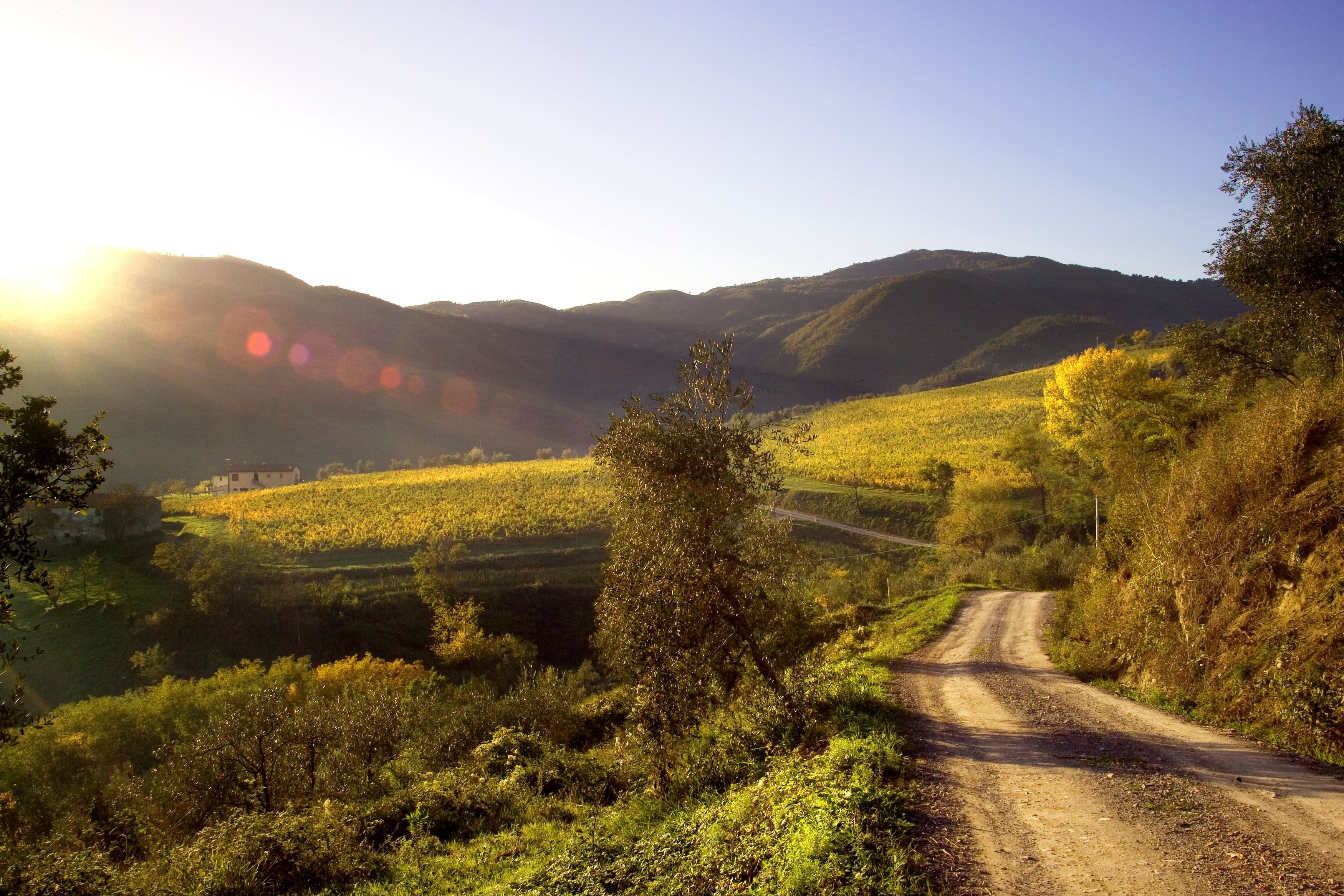 A rural road winding through a hilly landscape with fields and a small building in the distance.