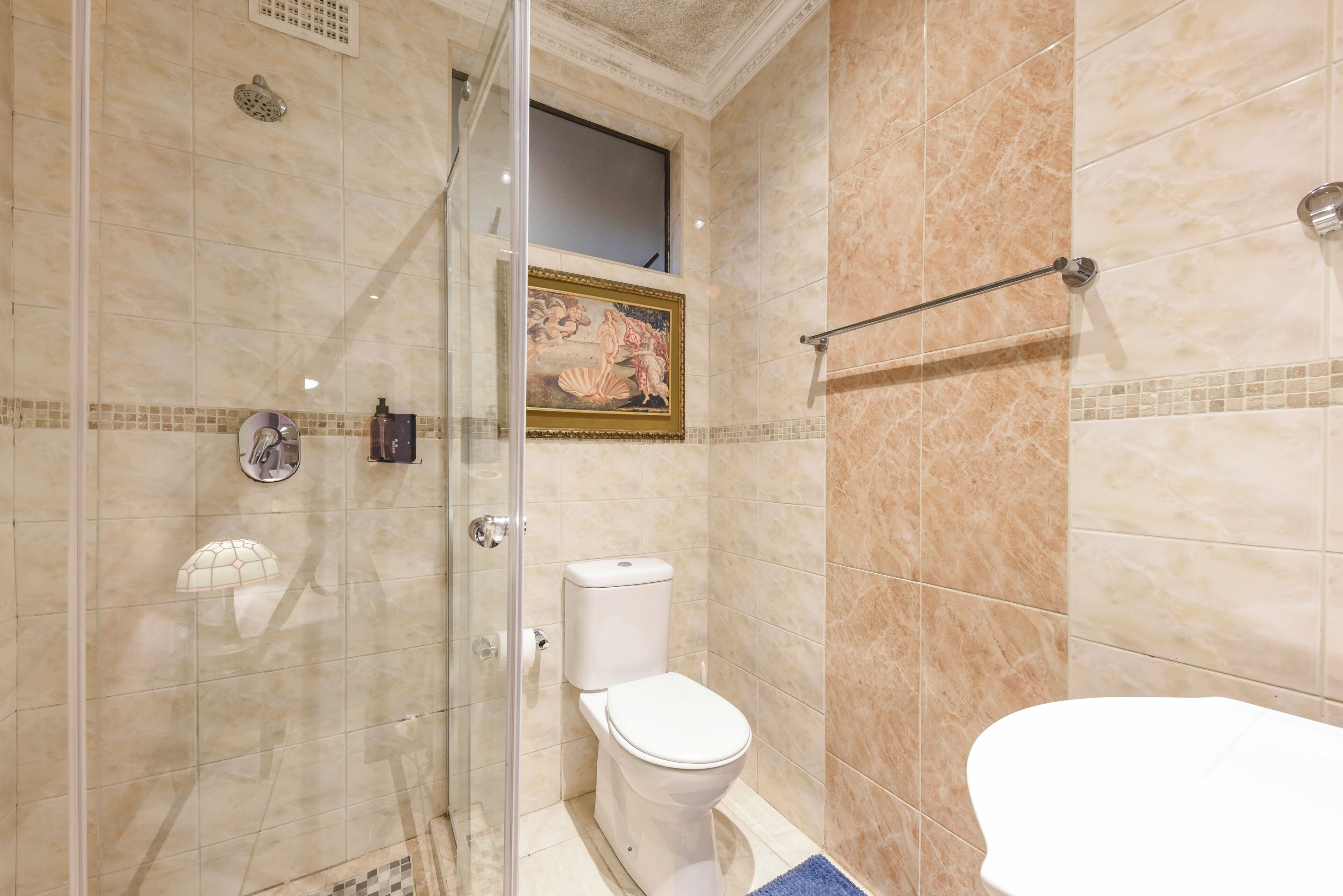 Een badkamer met een douche met glazen wand, een toilet en een wastafel.